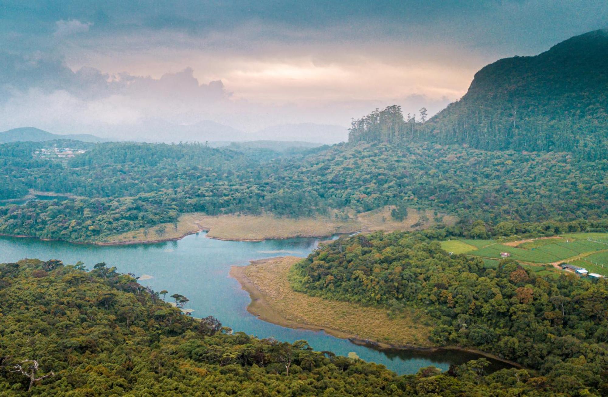 The Forest And Lake By Schofieldshire Nuwara Eliya Exterior photo