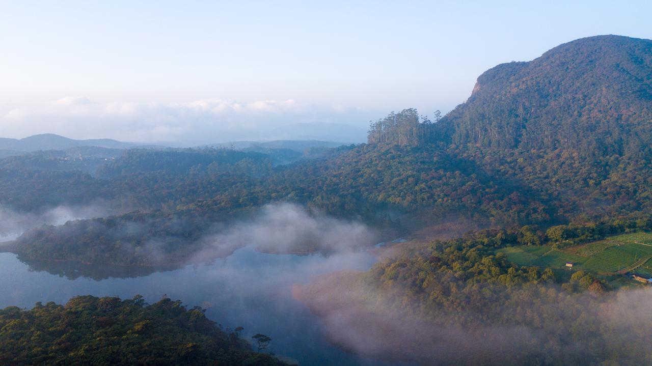 The Forest And Lake By Schofieldshire Nuwara Eliya Exterior photo